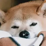 みーちゃん★同梱送料１点毎に200円引きの画像