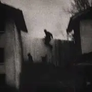 wavyの画像