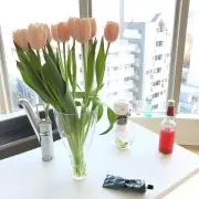 Hの画像