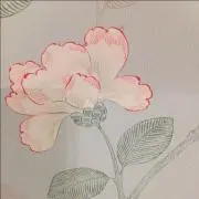 yu-yu