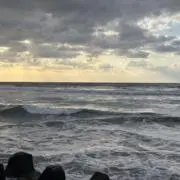 EIRUの画像