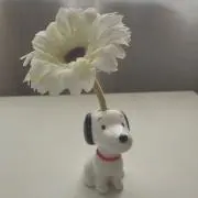 いぬーぴーの画像