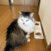 ぐりの画像