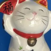 taniku2017の画像
