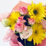 m✿プロフィール必読✎の画像