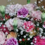 ぶくすけ