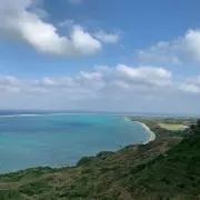 まんぼうの画像