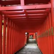 けんけん ※お値引きのご依頼可能ですの画像