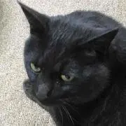 shuuの画像