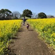 けい