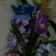 HANE