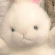 T（即購入◎）