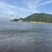とら☆お得情報の画像