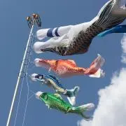 みかんの画像
