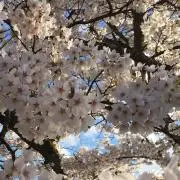ぽる