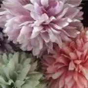 アイZの画像