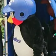 みっちゃんの画像