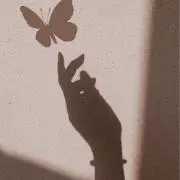 suiの画像