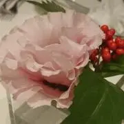 たのの画像