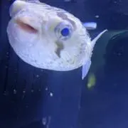 に