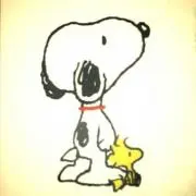 ごんたの画像