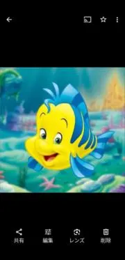 パプリカ☆の画像