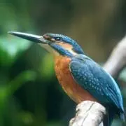 須藤健志
