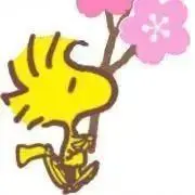 ナンシー☆の画像