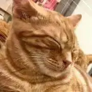 しずくの画像