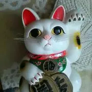 まねきねこ
