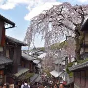 ぽんたの画像