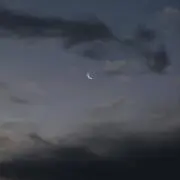 ✧︎*。