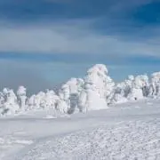 ふみの画像