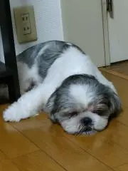 muku1109の画像