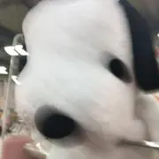 すぬお