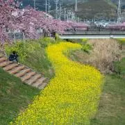 あいの画像