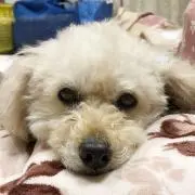 なっちゃん