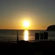 Risaの画像
