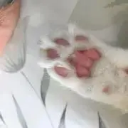 ヒロの画像