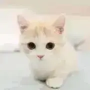 アクアマリンの画像
