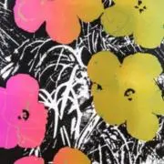 cotomiの画像