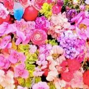 なでしこ 【プロフ確認】の画像