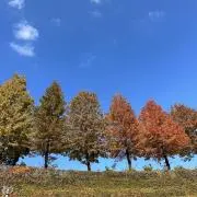 あおいそらの画像