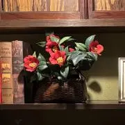 m.（プロフィール一読お願いします）の画像