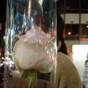 acoꕤ︎︎ ✨️24時間以内発送✨️の画像