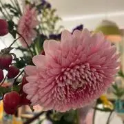 莉音☆プロフ必読☆の画像