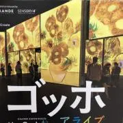 (^^)ちゃんの画像
