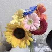 さ