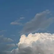 ししゃもの画像