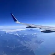 レレレレックスの画像